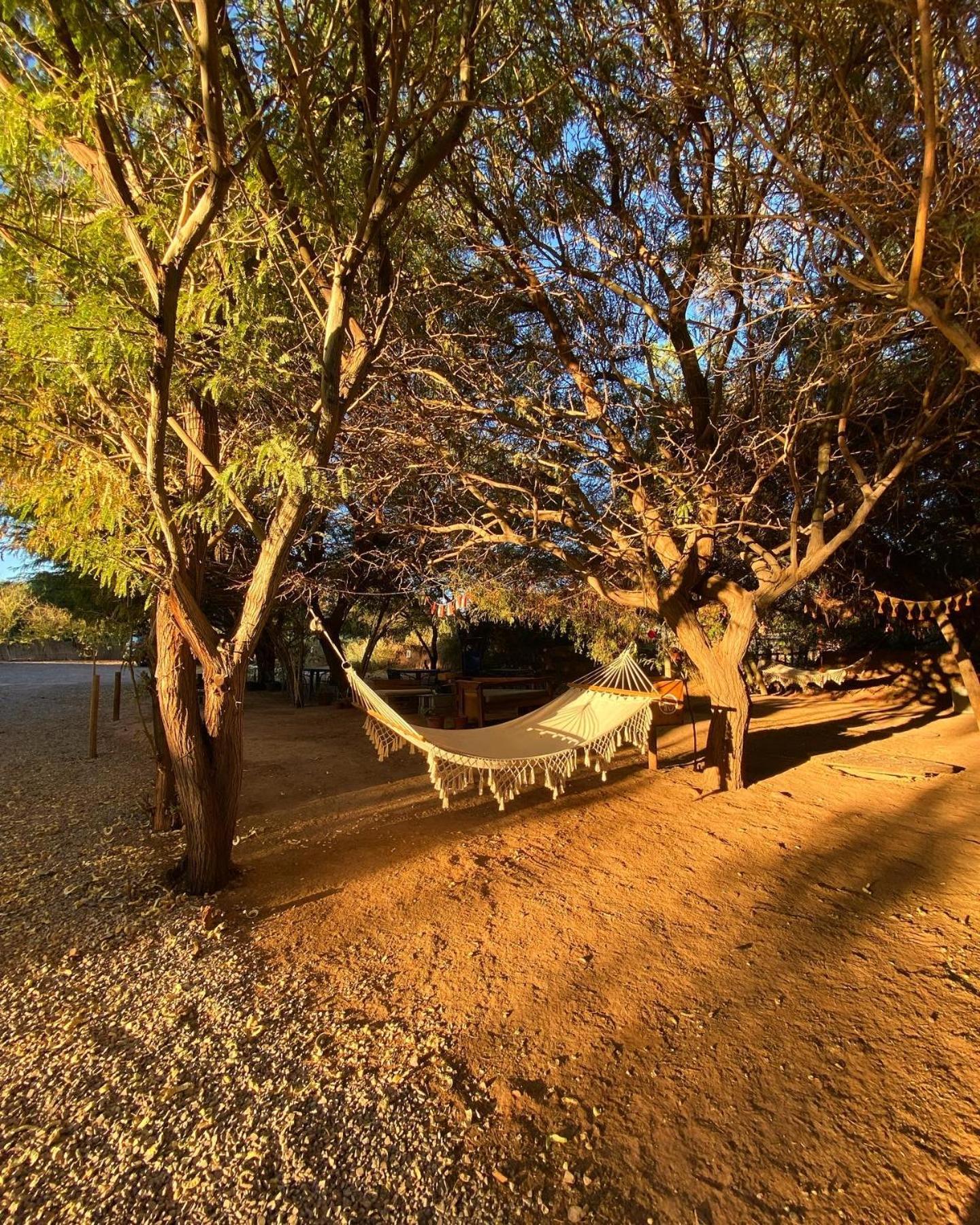 Caminandes Hostal San Pedro de Atacama Exterior foto